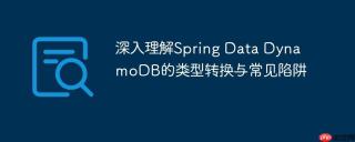 深入理解Spring Data DynamoDB的类型转换与常见陷阱