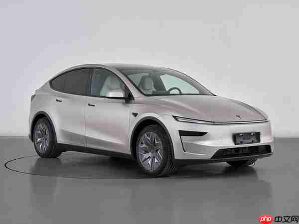 特斯拉Model Y L细节配置曝光：二排小桌 电磁可变悬架