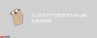 Go语言中字节数组作为Map键的使用指南