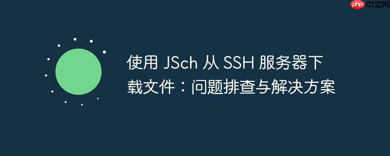 使用 JSch 从 SSH 服务器下载文件：问题排查与解决方案