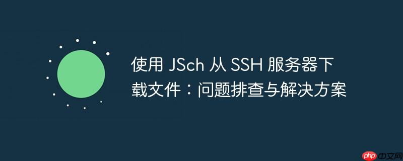 使用 jsch 从 ssh 服务器下载文件:问题排查与解决方案