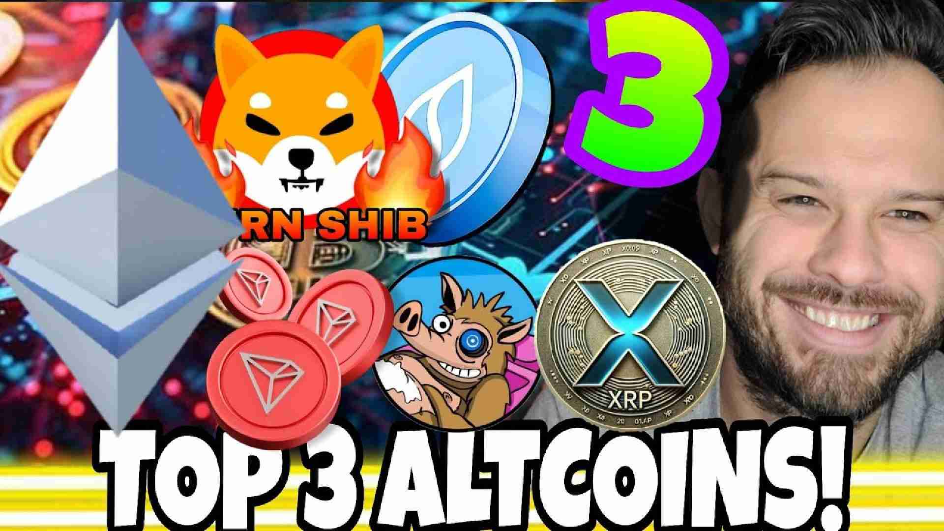 2025年的加密货币:比特币的坎坷之路与山寨币的激增