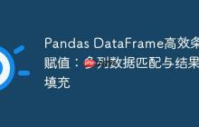 Pandas DataFrame高效条件赋值：多列数据匹配与结果填充