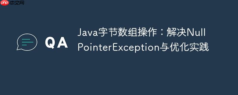 Java字节数组操作：解决NullPointerException与优化实践-小浪学习网