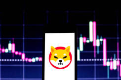 柴犬币的山寨币季节策略：SHIB会跑赢大盘吗？