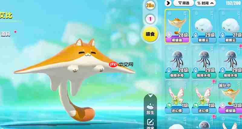 蛋仔派对橘福猫怎么抓 艾比橘福猫捕捉教程