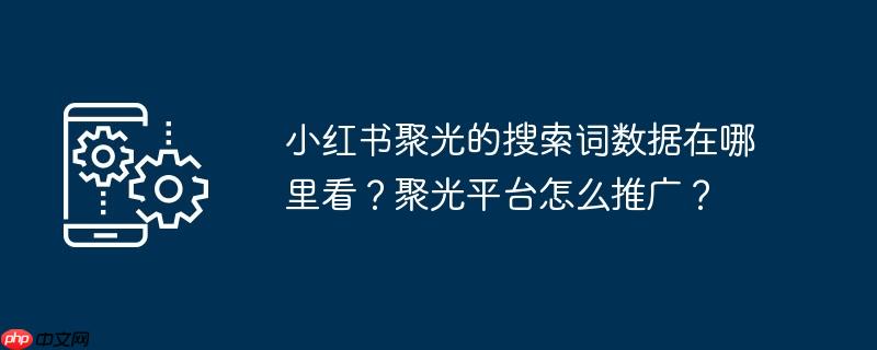 小红书聚光的搜索词数据在哪里看？聚光平台怎么推广？