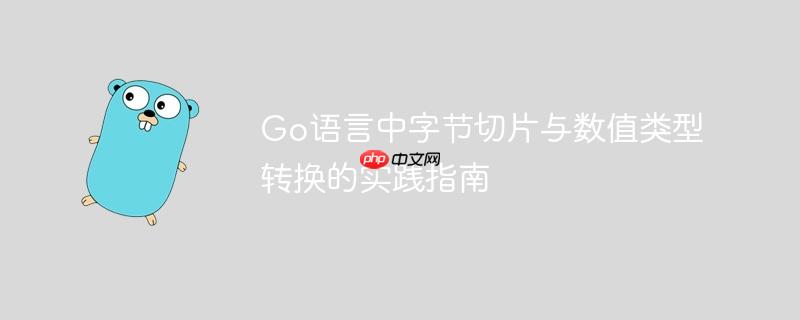 Go语言中字节切片与数值类型转换的实践指南