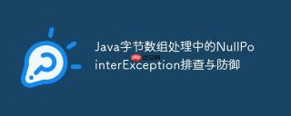 Java字节数组处理中的NullPointerException排查与防御
