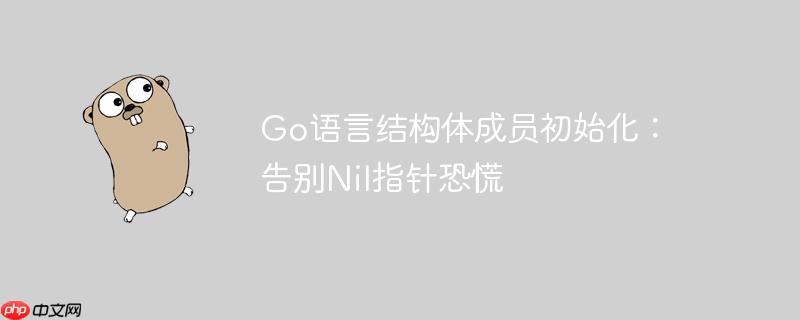Go语言结构体成员初始化：告别Nil指针恐慌