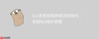 Go语言结构体成员初始化：告别Nil指针恐慌