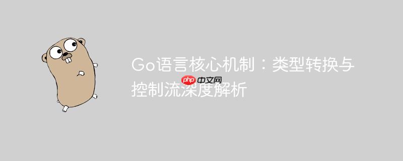 Go语言核心机制:类型转换与控制流深度解析