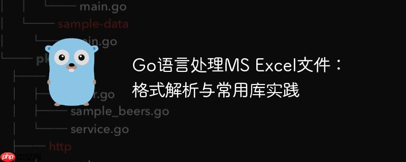 Go语言处理MS Excel文件：格式解析与常用库实践
