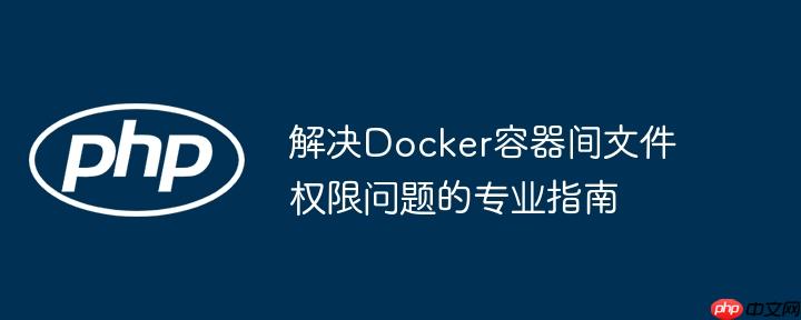 解决Docker容器间文件权限问题的专业指南