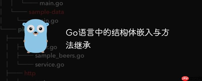 Go语言中的结构体嵌入与方法继承-小浪学习网
