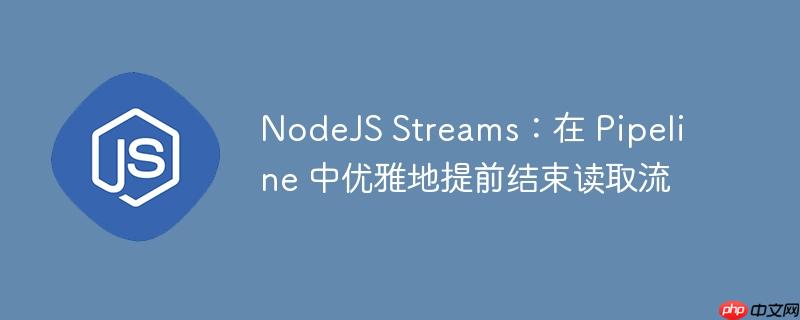 nodejs streams：在 pipeline 中优雅地提前结束读取流
