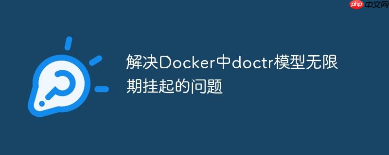 解决Docker中doctr模型无限期挂起的问题