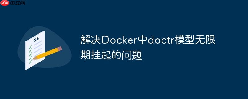 解决docker中doctr模型无限期挂起的问题