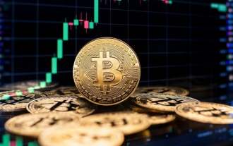 Bitcoin, Ethereum, Dogecoin: A Crazy Journey on Wall Street
