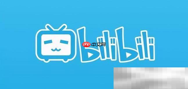 bilibili官网入口（b站网页版入口地址）