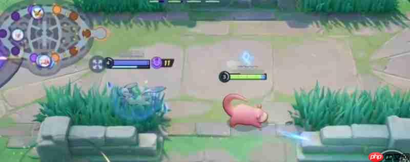 宝可梦大集结特防和防御有什么区别 防御机制详细解析