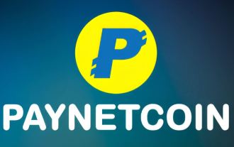 Paynet Coin이란 무엇입니까? Payn 코인의 주요 기능 및 미래 가격 전망의 개요