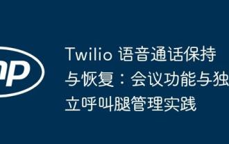 Twilio 음성 통화 유지 관리 및 복구 : 회의 기능 및 독립적 인 통화 다리 관리 관행