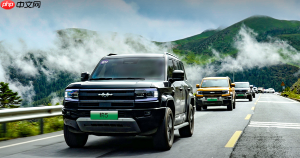 第29周硬派越野车型销量公布:豹5和坦克300被反杀?