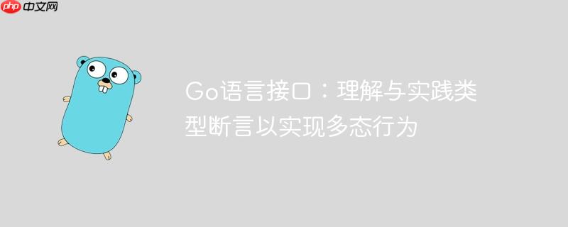go语言接口:理解与实践类型断言以实现多态行为