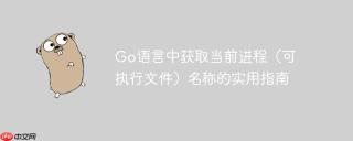 Go语言中获取当前进程（可执行文件）名称的实用指南