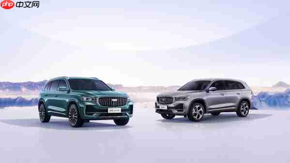 2025上半年燃油车销量top20出炉：国产最高排第五