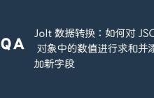 Jolt 数据转换：如何对 JSON 对象中的数值进行求和并添加新字段