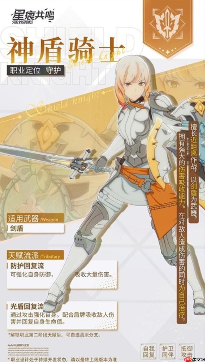 星痕共鸣神盾骑士怎么玩 神盾骑士职业流派详解