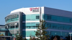 Stanford Pioneers Medical LLM ChatBot Model