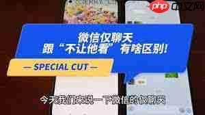 微信仅聊天和不让他看我有何区别