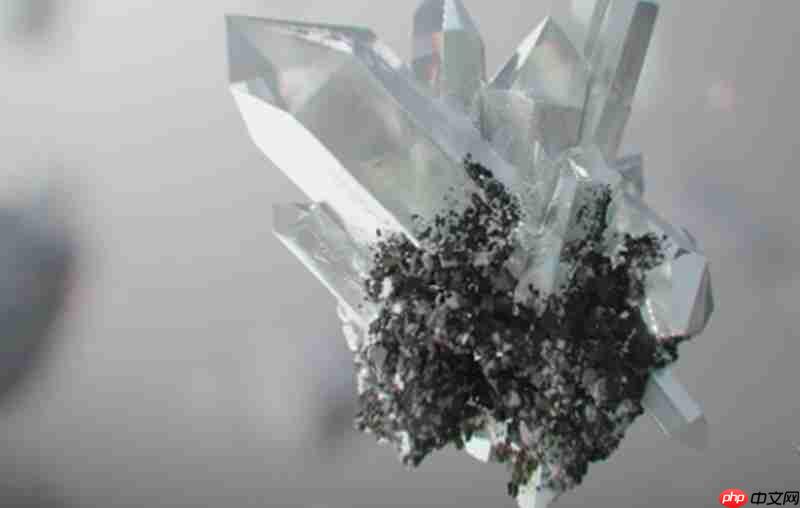 三角洲行动联动明日方舟有什么内容 联动活动详细介绍