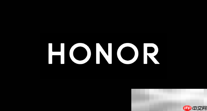 荣耀官网入口（官网登录网址链接）