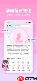 妈妈网孕育如何查看孕期记录