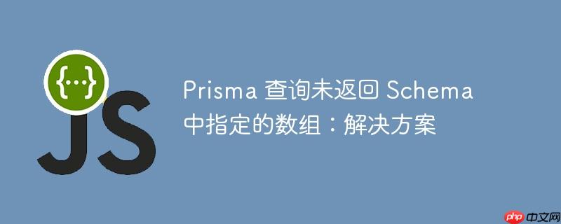 prisma 查询未返回 schema 中指定的数组：解决方案