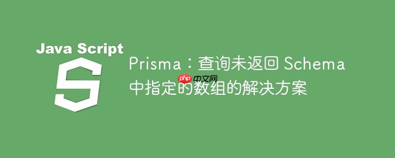 Prisma:查询未返回 Schema 中指定的数组的解决方案