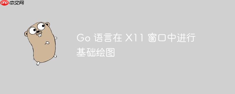 go 语言在 x11 窗口中进行基础绘图