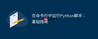 在命令行中运行Python脚本：基础指南