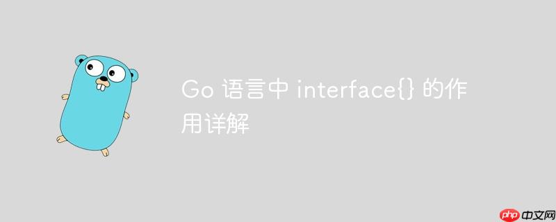 go 语言中 interface{} 的作用详解