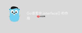 Go语言中 interface{} 的作用