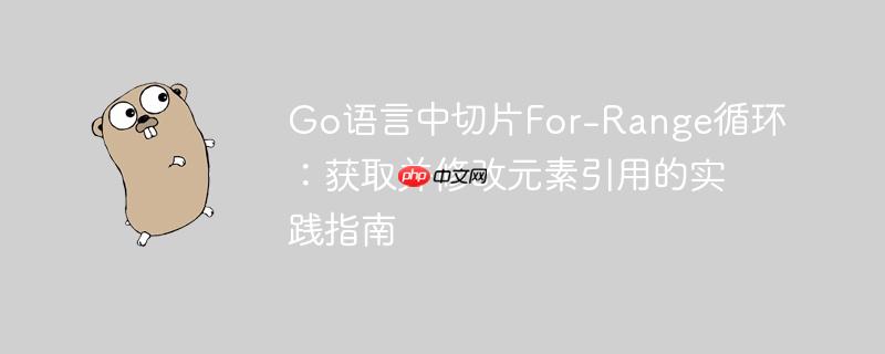 Go语言中切片For-Range循环：获取并修改元素引用的实践指南
