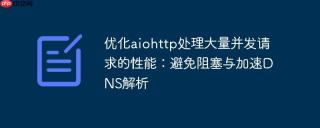 优化aiohttp处理大量并发请求的性能：避免阻塞与加速DNS解析