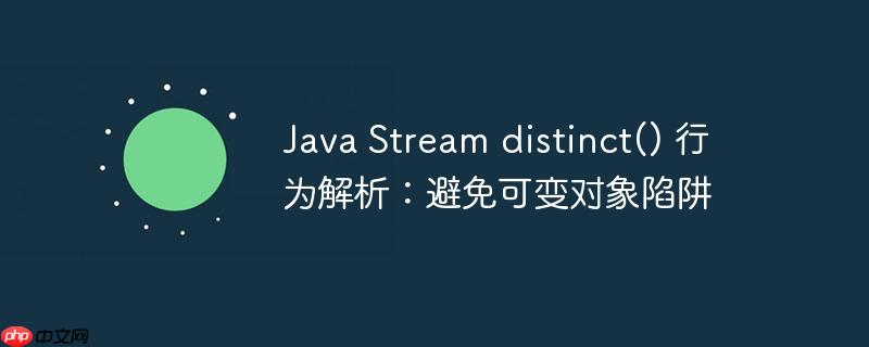 Java Stream distinct() 行为解析：避免可变对象陷阱-小浪学习网