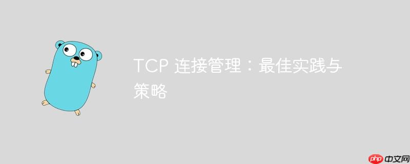 TCP 连接管理：最佳实践与策略