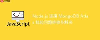 Node.js 连接 MongoDB Atlas 挂起问题排查与解决
