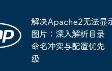 解决Apache2无法显示图片：深入解析目录命名冲突与配置优先级